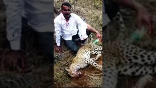 El Hombre que Venció a un Leopardo con sus Puños [upl. by Esojnauj]