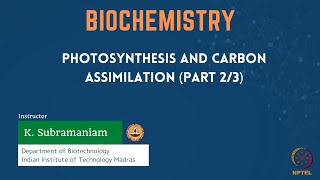 Photosynthesis and Carbon Assimilation Part 23 [upl. by Sterner]