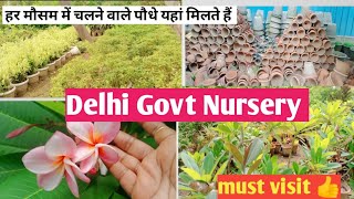 Govt Nursery Delhi Hardy and low care plants collections [upl. by Takashi]