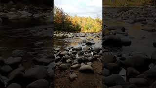 Into the wild White Mountain Massachusetts [upl. by Feeney]