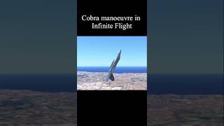 Cobra manoeuvre in infinite flight infiniteflight planes aviation f18 shorts [upl. by Jordon]