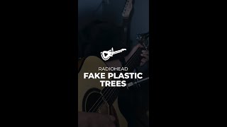 Radiohead  Fake Plastic Trees acoustic cover [upl. by Ross906]