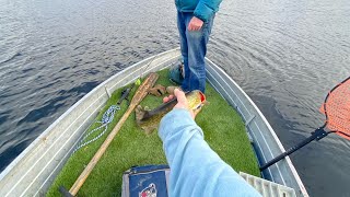 PB Pickerel follow straight to the boat [upl. by Fabyola]