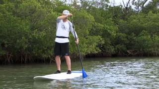 Stand Up Paddling  How To Paddle Straight [upl. by Lottie]