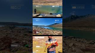 Trout Fishing Pakistan youtubeshorts viralvideo nature fish [upl. by Gies]