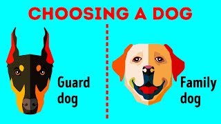 How to Choose the Perfect Dog Breed Just for You [upl. by Deppy]