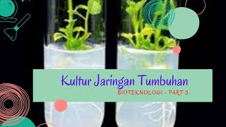 bioteknologi kulturjaringantumbuhan biologisma BIOTEKNOLOGI MODERN  KULTUR JARINGAN TUMBUHAN [upl. by Akeenahs]