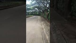 Somewhere in cavite philippines subscribe for more fyp viralvideo trending [upl. by Cobb]