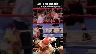 Julio noqueado en julio por el ruso Kostya Tszyu boxeo boxing [upl. by Sivrat]