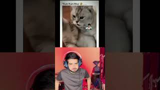 Galat kaam bile ki sath🤣🤣 funny comedy dankindianmemes memes viralmemes reaction [upl. by Naihs]