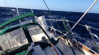 Running off the Baja Coast Staysail Only in Confused Seas [upl. by Drolet]