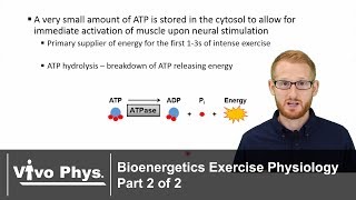 Bioenergetics Part 2 of 2  Metabolic Pathways UPDATED VERSION IN DESCRIPTION [upl. by Lledroc]