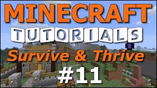 Minecraft Tutorials  E11 Cozy Cottage  Part 1 Survive and Thrive II [upl. by Ahsilaf465]