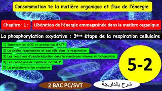 La phosphorylation oxydative 3ème étape de la respiration cellulaire partie 52 شرح بالداريجة [upl. by Keefer]