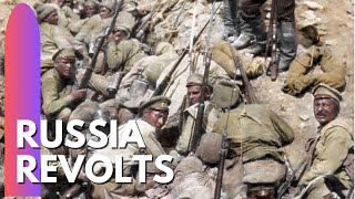 Russia Revolts in 1917  Democracy is given a chance [upl. by Aika]