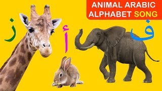 Arabic alphabet song animals  أغنية الحروف الأبجدية العربية الحيوانات [upl. by Brnaba]