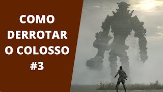 SHADOW OF THE COLOSSUS PS4  COMO MATAR O TERCEIRO COLOSSO [upl. by Odlaniger768]