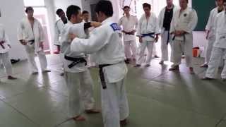 Morote Seoi Nage Combinations [upl. by Xuagram41]