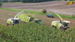 Großeinsatz Mais häckseln 2019  Krone BigX 850 Claas Jaguar 970 farmer corn harvest Maisernte [upl. by Ainoval]