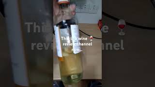 Chilean sauvignon blanc white wine wine winetasting vineyardlife cheap fail nasty bad yuck [upl. by Autry468]