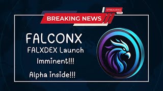 Falconx PRESALE finished SO WHAT IS NEXT Watch to find out [upl. by Mikihisa993]