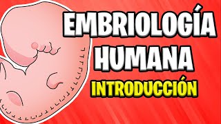 ✅ INTRODUCCIÓN A LA EMBRIOLOGÍA HUMANA  Conceptos Básicos 📚 [upl. by Fasto]