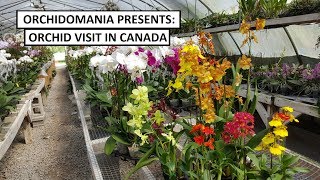 Orchidomania Presents Canadian Orchid Visit [upl. by Dorca]