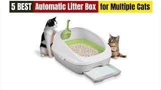 Best Automatic Litter box for Multiple Cats of 2024 Updated [upl. by Akitnahs44]