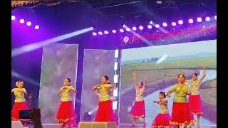 Dinkiri Pattalam Cinematic Dance Primary School [upl. by Chalmer]