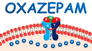 Oxazepam  Mechanism precautions side effects amp uses [upl. by Hoban]