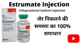 Estrumate Injection Uses जेर निकलने की समस्या का 100 समाधान Chloprostenol sodium injection [upl. by Enneite]