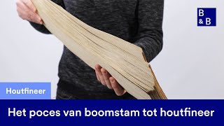 Het productieproces van houtfineer uitgelegd van boomstam tot plaat [upl. by Alyahs541]