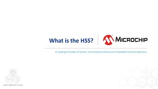 What is the HSS [upl. by Berners]