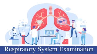 Resp System Examination [upl. by Vocaay364]