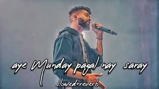 aye Munday pagal nay saray slowed  reverb lofi song by sinu jattt official video [upl. by Diet]