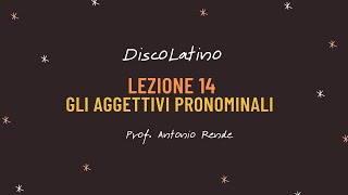 Lezione 14 gli aggettivi pronominali [upl. by Alf]