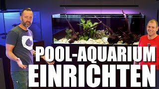 SO richtet man ein PFLEGELEICHTES 440L Süßwasseraquarium ein bei aquaemotionsaquarienbau [upl. by Ranson]