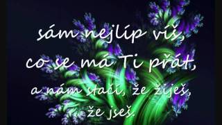 Nedvědi  Všechno nejlepší lyrics [upl. by Nosnej]