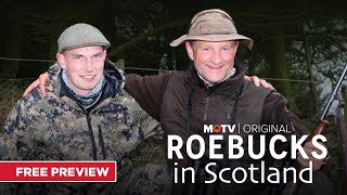 Roebucks in Scotland  Free Preview  MyOutdoorTV [upl. by Sacttler]