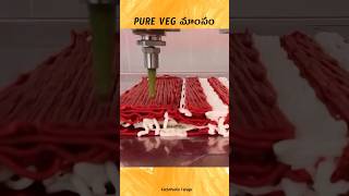 🤯🤯🤯 Pure Veg Meat Printing in Netherland in Telugu  facts [upl. by Orimlede]