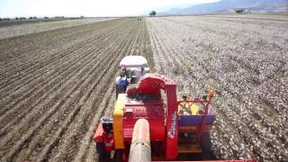 cotton harvesting machine [upl. by Ytsirt606]