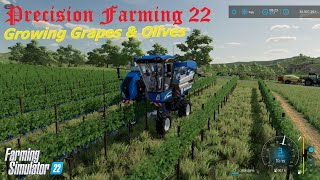 How To Grow Grapes and Olives With Precision Farming 22 [upl. by Rance]