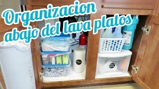 10 IDEAS PARA ORGANIZAR DEBAJO DEL FREGADERO  3 DIY FACILES Y UTILES [upl. by Hgiellek334]