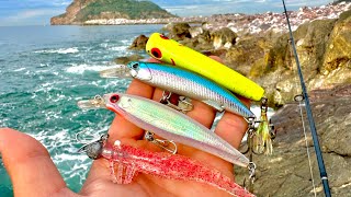 PESCA de ORILLA con SEÑUELOS  CAMARÓN ARTIFICIAL Y MINNOW [upl. by Godber]