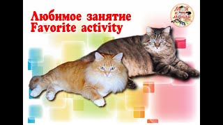 Любимое занятие Favorite activity [upl. by Umeh]