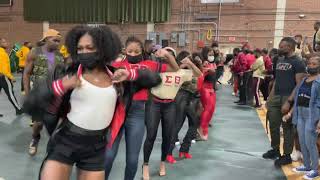 Delta Sigma Theta Sorority Inc  The Real Beta Alpha Chapter  FAMU BADST [upl. by Mcarthur]