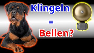 Deinem Hund das Bellen beim Klingeln abgewöhnen Anleitung [upl. by Siva]