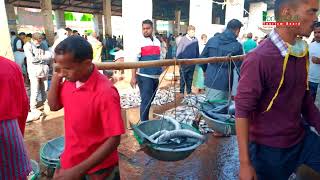 Cox’s Bazar Fisheries Ghat [upl. by Penni334]