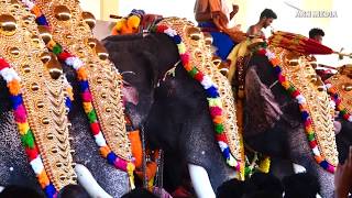 Uthralikavu Pooram 2020 Vadakanchery Desam Elephants [upl. by Otrebla]