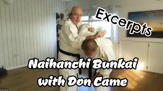 Naihanchi Bunkai with Don Came  Webinar Excerpts [upl. by Nav]